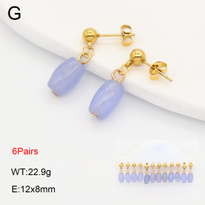2E4005217ajvb-212  Stainless Steel Earrings