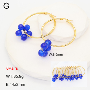 2E4005220bika-212  Stainless Steel Earrings