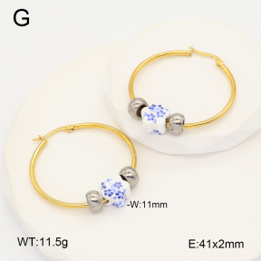 2E4005221aajl-212  Stainless Steel Earrings