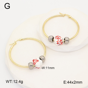 2E4005222aajl-212  Stainless Steel Earrings