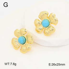 2E4005223vbmb-212  Stainless Steel Earrings