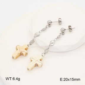 2E4005224baka-212  Stainless Steel Earrings
