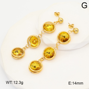 2E4005225bbov-212  Stainless Steel Earrings
