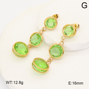 2E4005226bbov-212  Stainless Steel Earrings