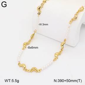 2N3003420bhia-434  Stainless Steel Necklace