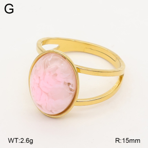 2R4002056avja-434  Stainless Steel Ring