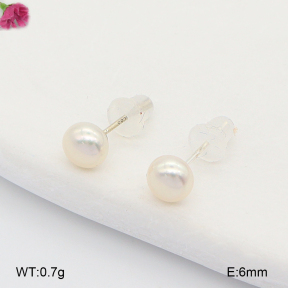 F2E301346vhha-J133  Fashion Earrings