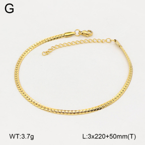 2A9001960aakl-775  Stainless Steel Anklets