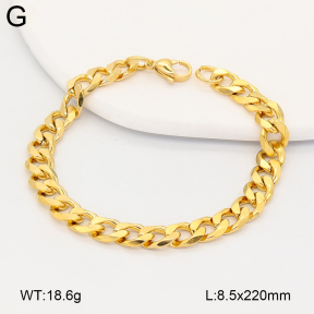 2B2005872vbmb-775  Stainless Steel Bracelet