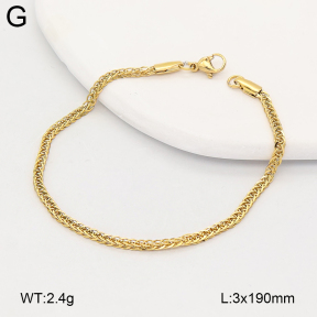 2B2005887vbll-775  Stainless Steel Bracelet