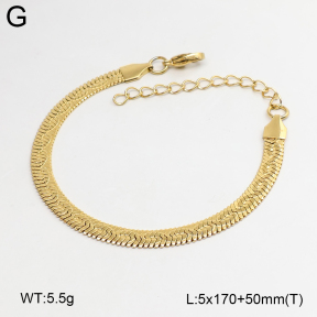 2B2005901vbll-775  Stainless Steel Bracelet