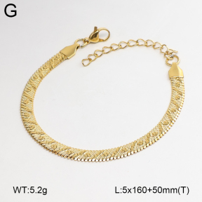 2B2005903vbll-775  Stainless Steel Bracelet