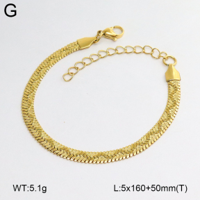 2B2005905vbll-775  Stainless Steel Bracelet