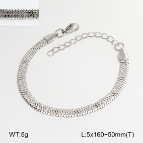 2B2005908aakl-775  Stainless Steel Bracelet