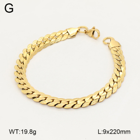 2B2005921vbnl-775  Stainless Steel Bracelet