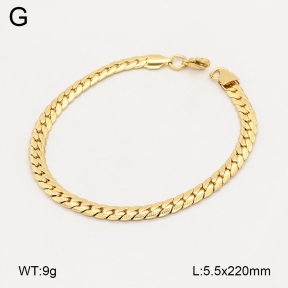 2B2005923vbll-775  Stainless Steel Bracelet