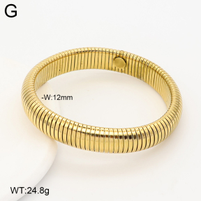 2B2005955vhpl-775  Stainless Steel Bracelet