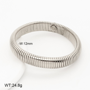 2B2005956vhhl-775  Stainless Steel Bracelet