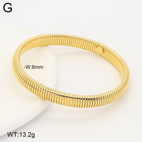 2B2005959vhmv-775  Stainless Steel Bracelet
