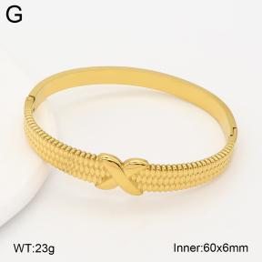 2BA202688vhov-775  Stainless Steel Bangle