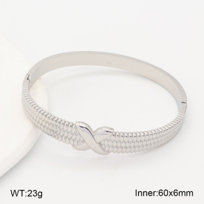 2BA202689ahlv-775  Stainless Steel Bangle