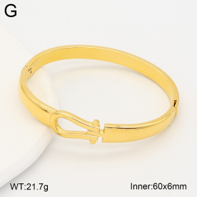 2BA202692bhjl-775  Stainless Steel Bangle