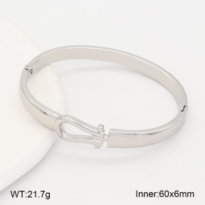 2BA202693vhhl-775  Stainless Steel Bangle