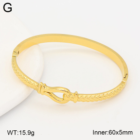 2BA202694bhjl-775  Stainless Steel Bangle