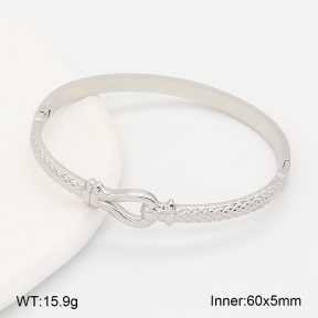 2BA202695vhhl-775  Stainless Steel Bangle