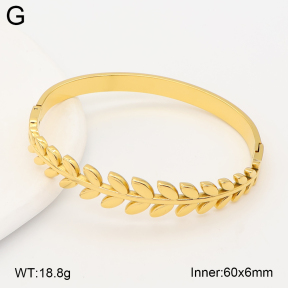 2BA202698ahjb-775  Stainless Steel Bangle