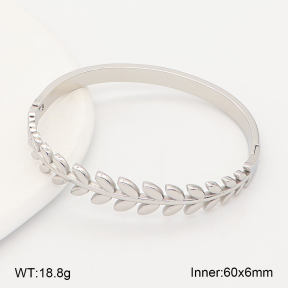 2BA202699vhha-775  Stainless Steel Bangle
