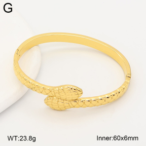 2BA202700bhjl-775  Stainless Steel Bangle