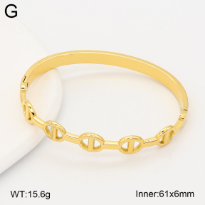 2BA202702bhjl-775  Stainless Steel Bangle