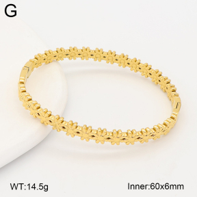 2BA202707ahjb-775  Stainless Steel Bangle