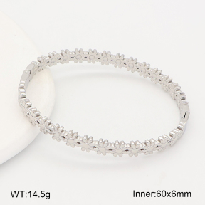 2BA202708vhha-775  Stainless Steel Bangle