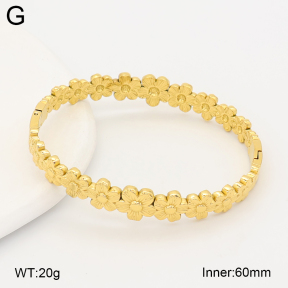2BA202709vhll-775  Stainless Steel Bangle