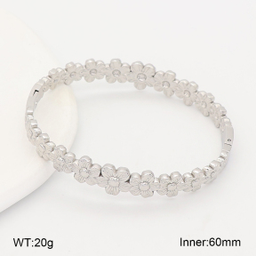 2BA202710bhjl-775  Stainless Steel Bangle