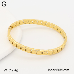 2BA202711ahjb-775  Stainless Steel Bangle