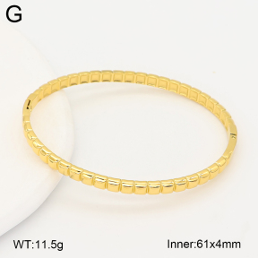 2BA202717ahjb-775  Stainless Steel Bangle