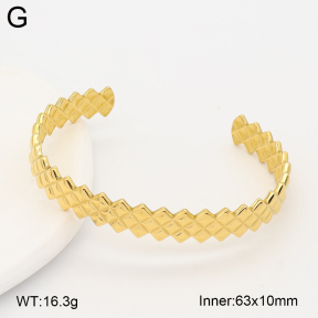 2BA202730vhll-775  Stainless Steel Bangle
