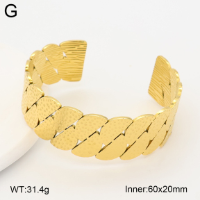 2BA202732vhll-775  Stainless Steel Bangle