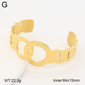 2BA202738vhll-775  Stainless Steel Bangle