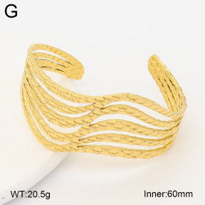 2BA202742vhml-775  Stainless Steel Bangle
