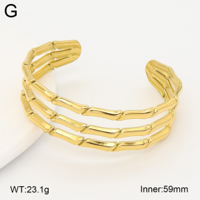 2BA202746vhml-775  Stainless Steel Bangle