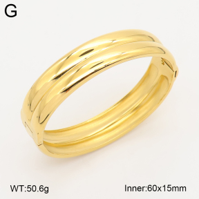 2BA202750ahlv-775  Stainless Steel Bangle