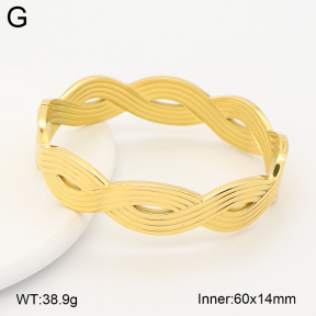 2BA202752ahlv-775  Stainless Steel Bangle