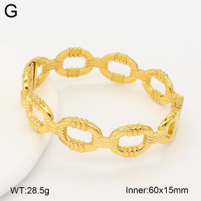 2BA202756ahlv-775  Stainless Steel Bangle