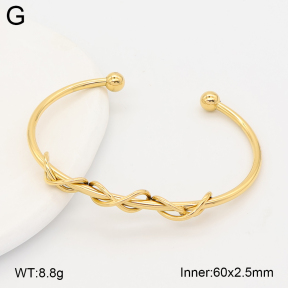 2BA202765bhia-775  Stainless Steel Bangle
