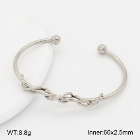 2BA202766bvpl-775  Stainless Steel Bangle