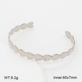 2BA202768vbpb-775  Stainless Steel Bangle